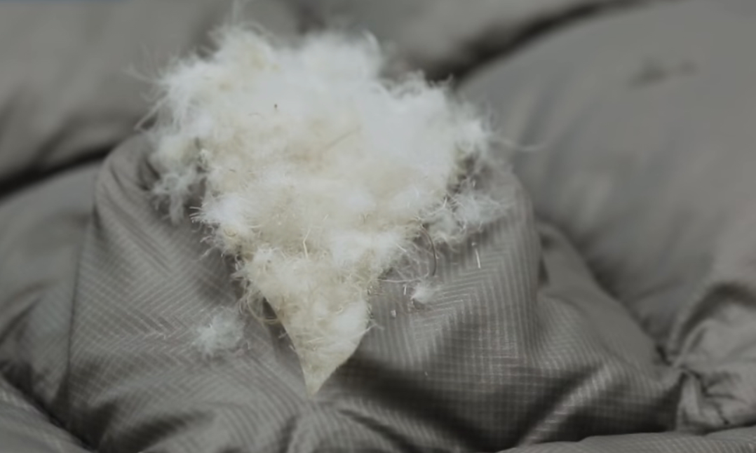 오리털 덕다운 특징 장점 알아보겠습니다