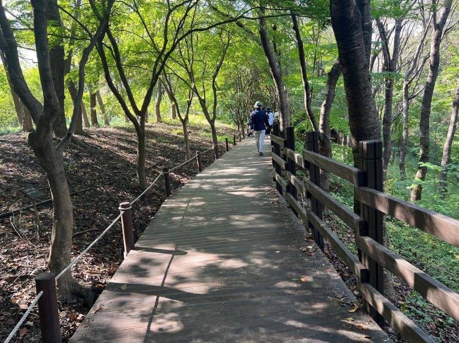 등산할 때 좋은 옷 알아보겠습니다