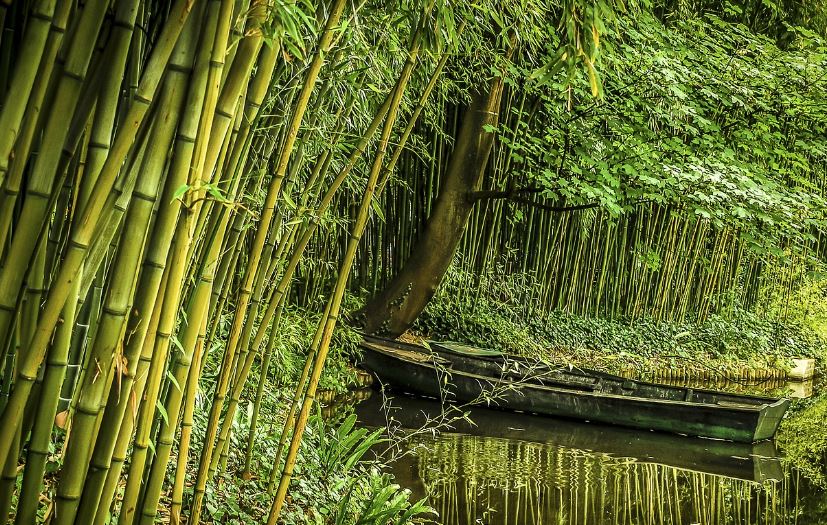 뱀부섬유 대나무 섬유 알아보겠습니다