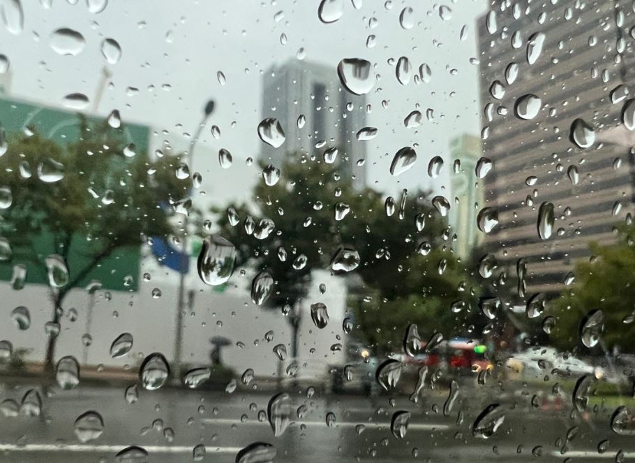 비오는날 입으면 좋은 옷 알아보겠습니다