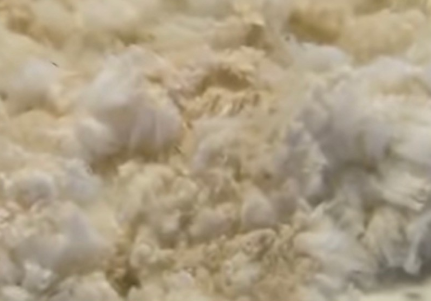 단백질 섬유 장점과 단점 알아보겠습니다