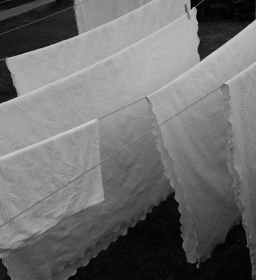 빨래 삶은 이유, 방법 알아보겠습니다