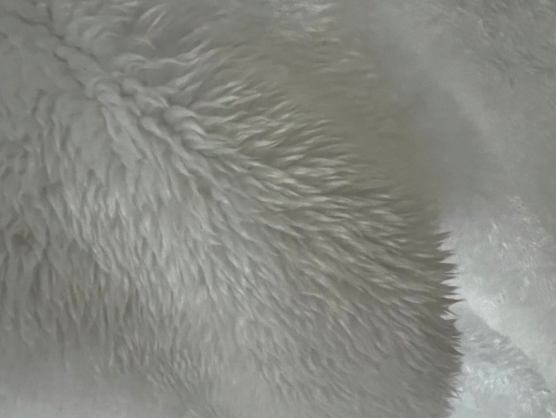 드라이클리닝 물세탁 차이 비교, 옷냄새 제거, 기름오염 제거