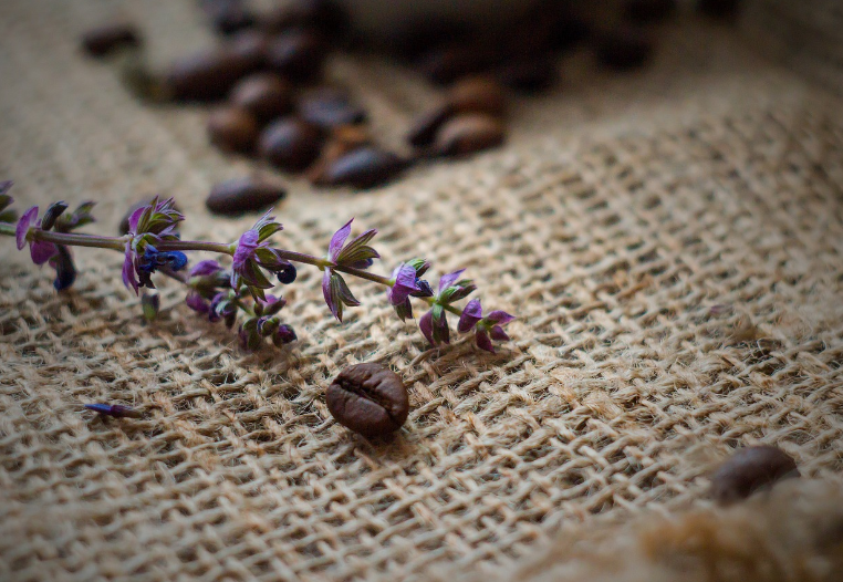 삼베 옷 대마 특징 성질과 용도