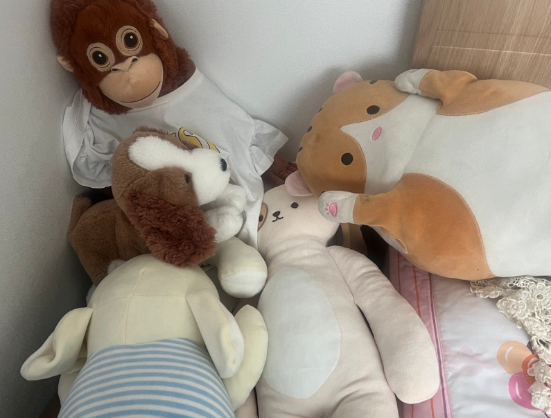 인형 빨래 세탁, 얼룩제거, 곰팡이 애착 인형 냄새제거, 건조 방법