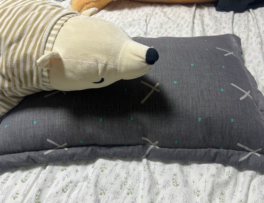 구스 베개 세탁방법, 불쾌한 냄새, 찌든때 거위털 구스 베개 빨래방법