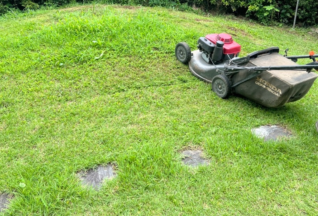 벌초 복장, 옷, 모자 갖추고 벌 퇴치법 예초기날 주의사항