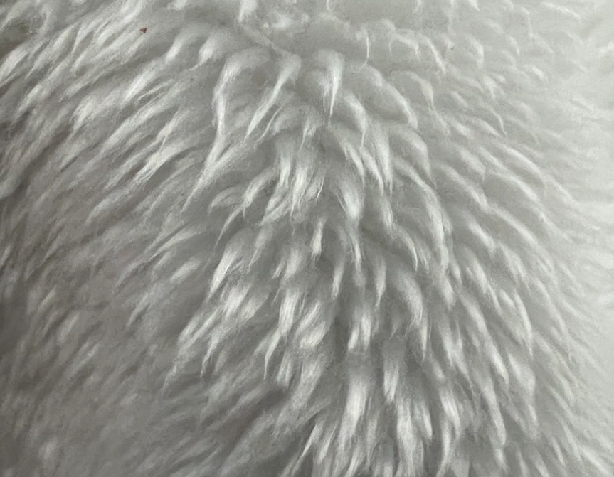 양모섬유의 가공, 방축가공, 프리츠가공, 방충가공