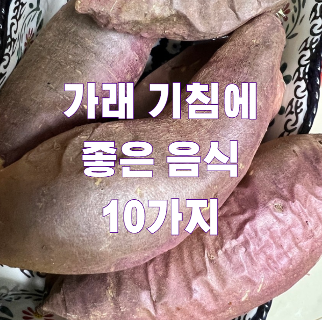 가래 기침에 좋은 음식 10가지