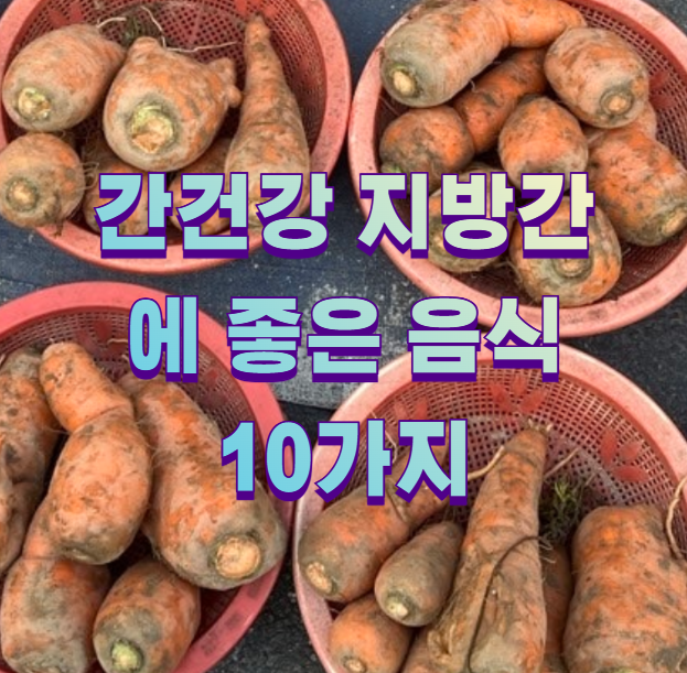 간건강 지방간에 좋은 음식 10가지1