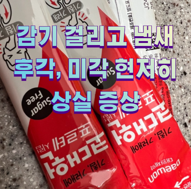 감기 걸리고 냄새 후각, 미각 현저히 상실 증상1