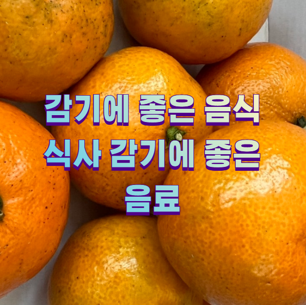 감기에 좋은 음식 식사 감기에 좋은 음료2