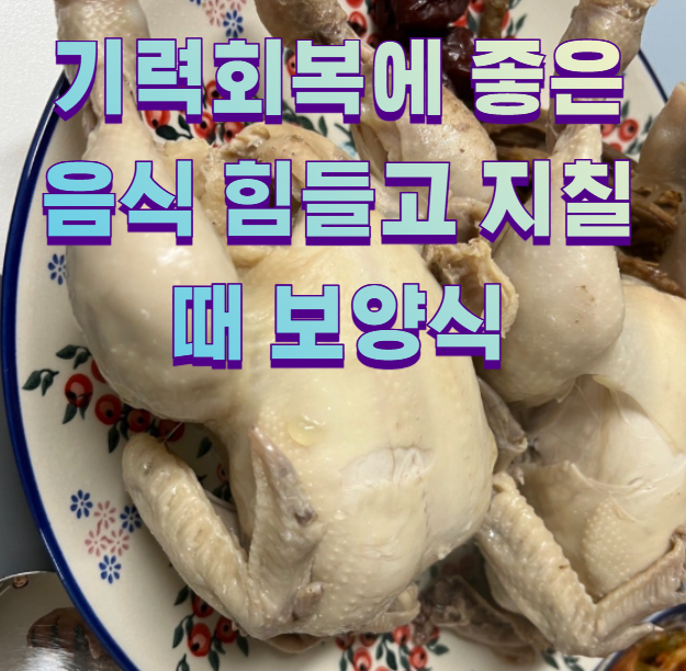 기력회복에 좋은 음식 힘들고 지칠때 보양식1