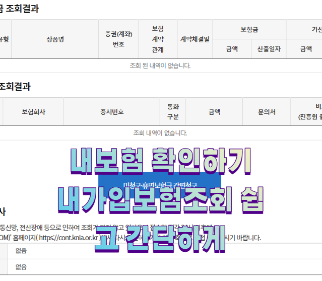 내보험 확인하기 내가입보험조회3