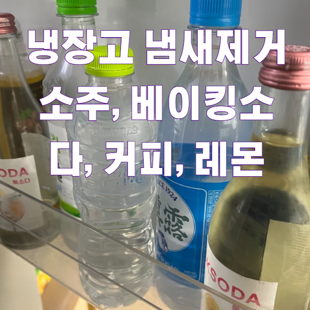 냉장고 냄새제거 소주, 베이킹소다, 커피, 레몬1