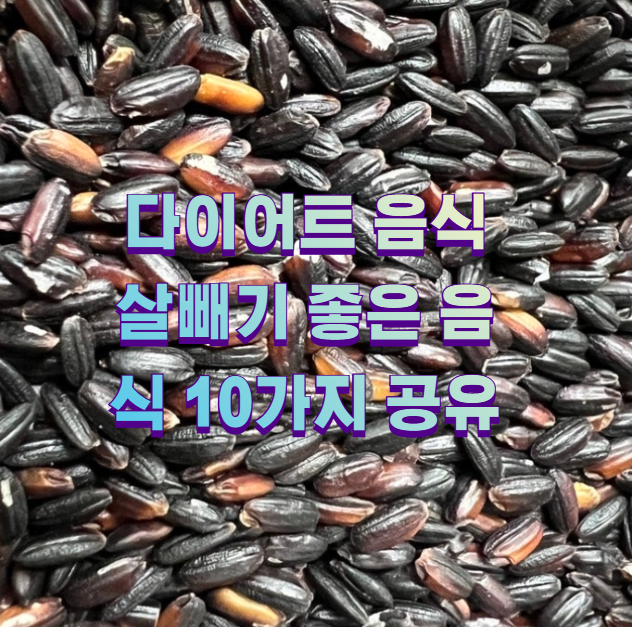 다이어트 음식 살빼기 좋은 음식 10가지 공유1