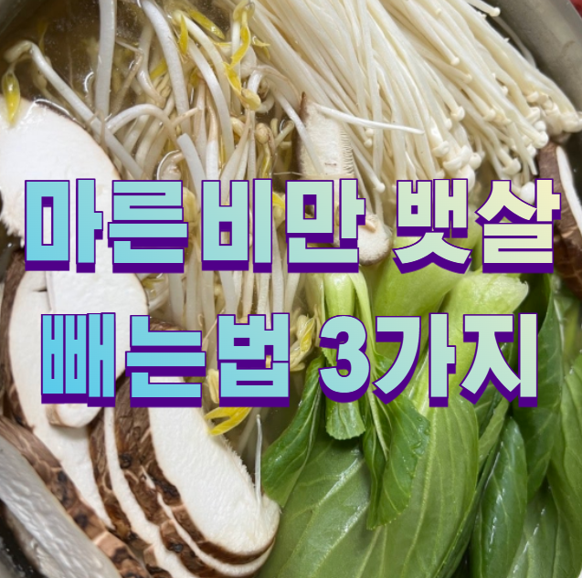 마른비만 뱃살 빼는법 3가지1