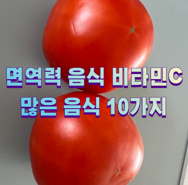 면역력 음식 비타민c 많은 음식 10가지