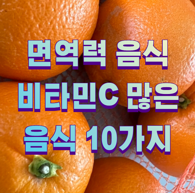 면역력 음식 비타민c 많은 음식 10가지1