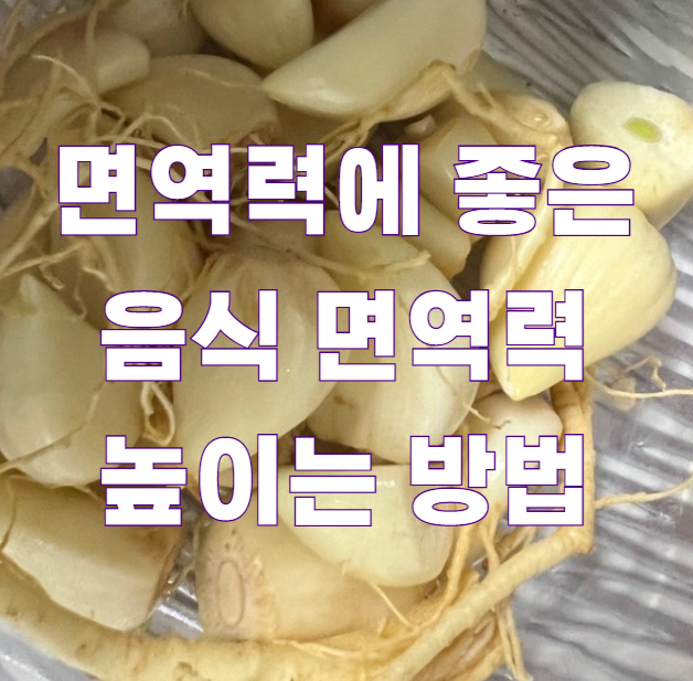 면역력에 좋은 음식 면역력 높이는 방법