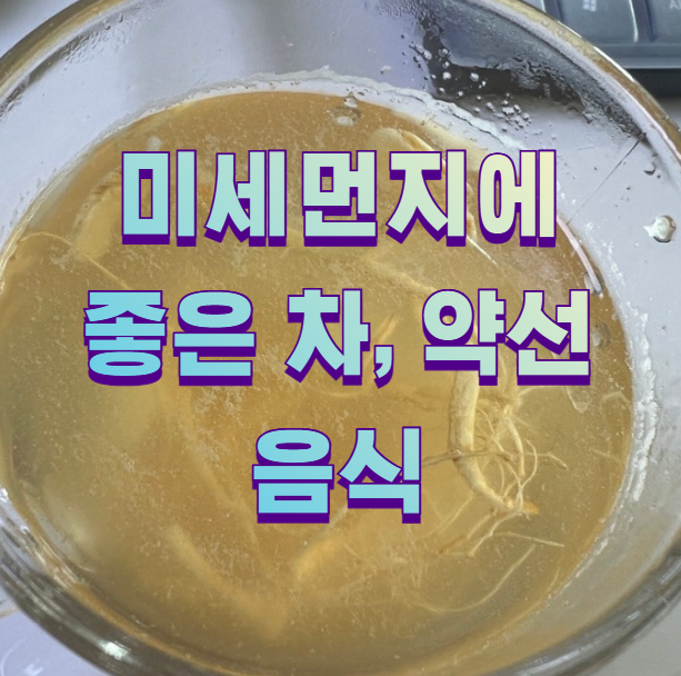 미세먼지에 좋은 차, 약선 음식1