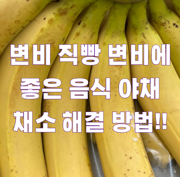 변비 직빵 변비에 좋은 음식 야채 채소 해결 방법!!2