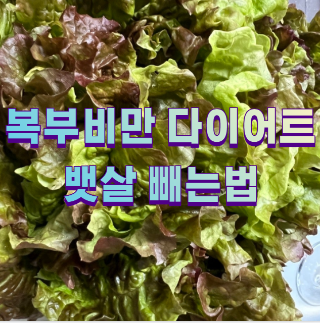 복부비만 다이어트 뱃살 빼는법