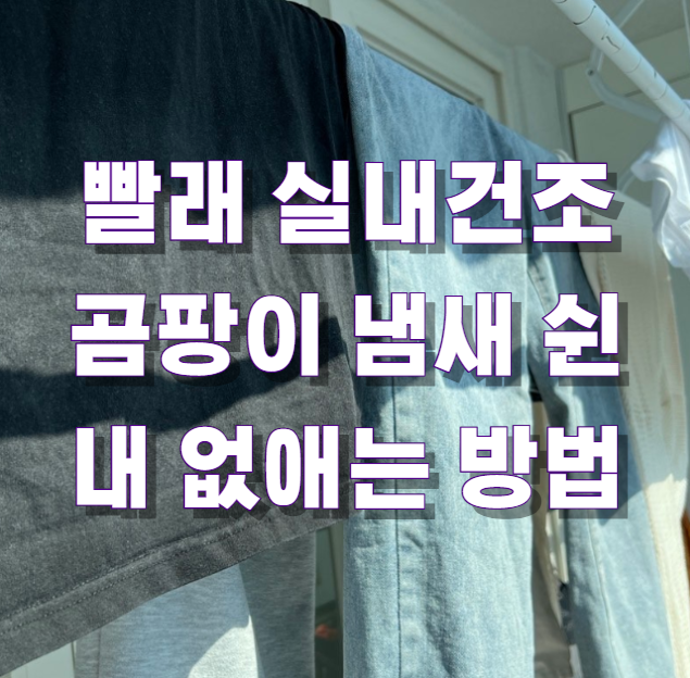 빨래 실내건조 곰팡이 냄새 쉰내 없애는 방법