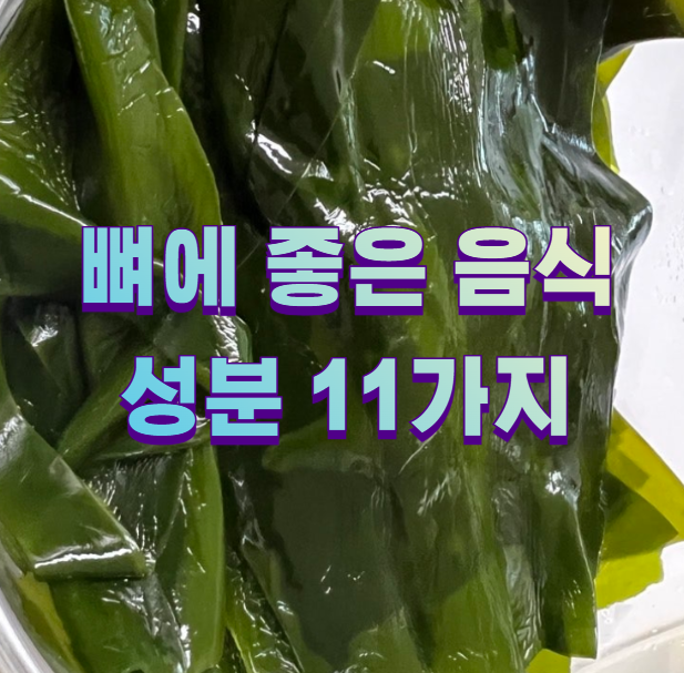 뼈에 좋은 음식 성분 11가지