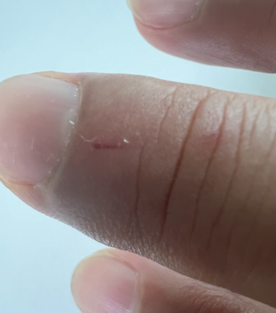 석화찜 하는법 삶는법 손질법 먹는법1