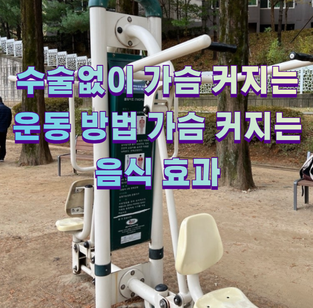 수술없이 가슴 커지는 운동 방법 가슴 커지는 음식 효과1