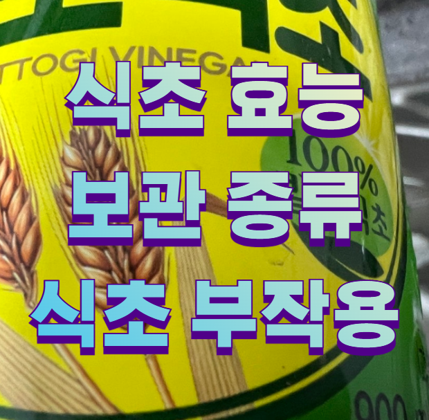 식초 효능 보관 종류 식초 부작용1