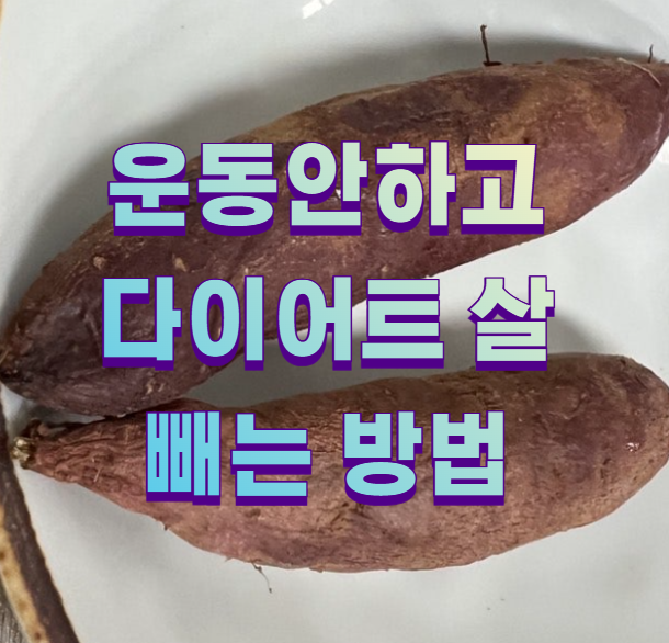 운동안하고 다이어트 살빼는 방법1