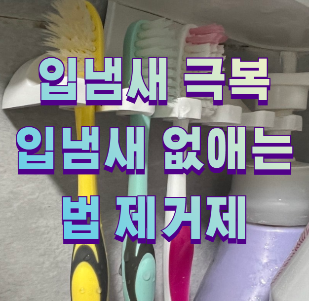 입냄새 극복 입냄새 없애는법 제거제