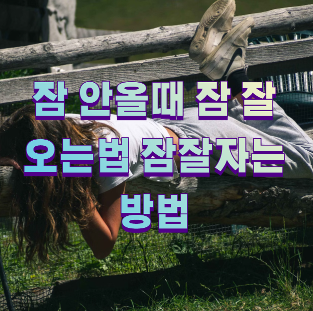잠 안올때 잠 잘오는법 잠잘자는방법1