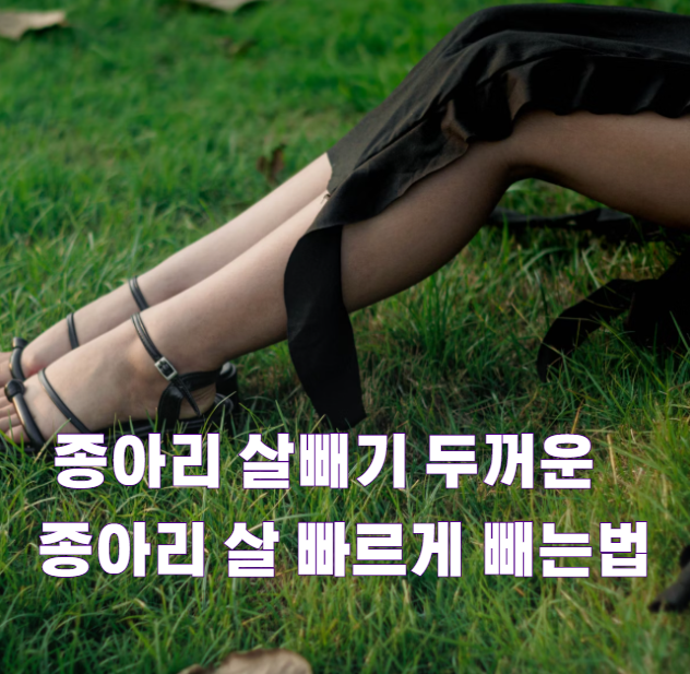 종아리 살빼기 두꺼운 종아리 살 빠르게 빼는법1