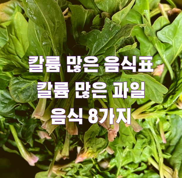 칼륨 많은 음식표 칼륨 많은 과일 음식 8가지1