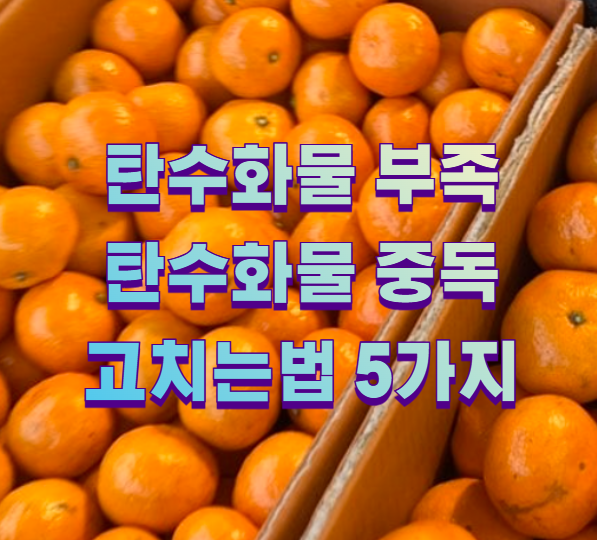 탄수화물 부족 탄수화물 중독 고치는법 5가지1