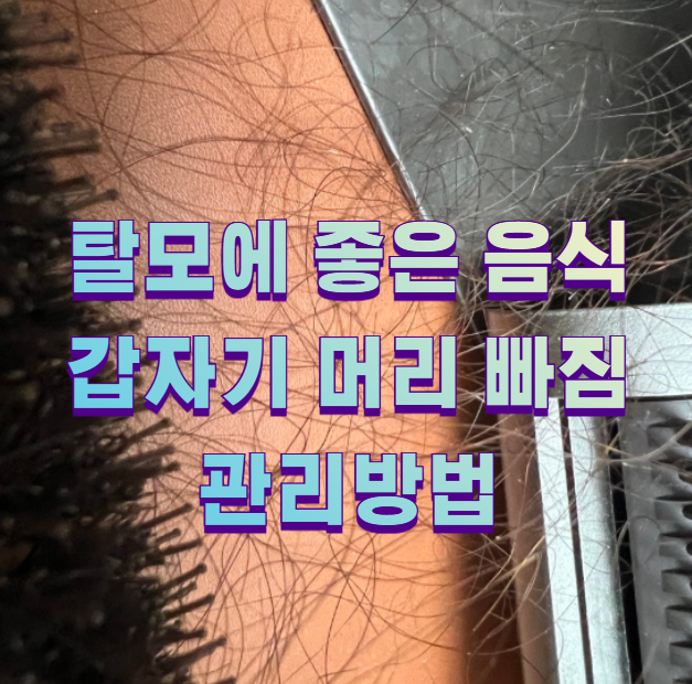 탈모에 좋은 음식 갑자기 머리 빠짐 관리방법
