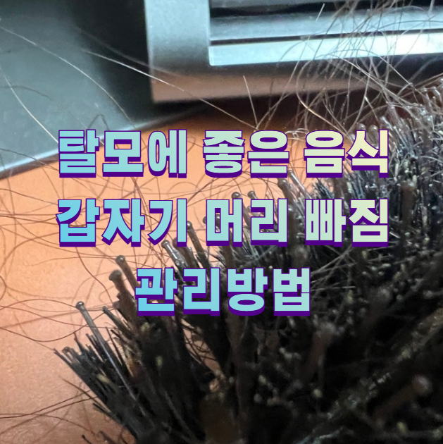 탈모에 좋은 음식 갑자기 머리 빠짐 관리방법1
