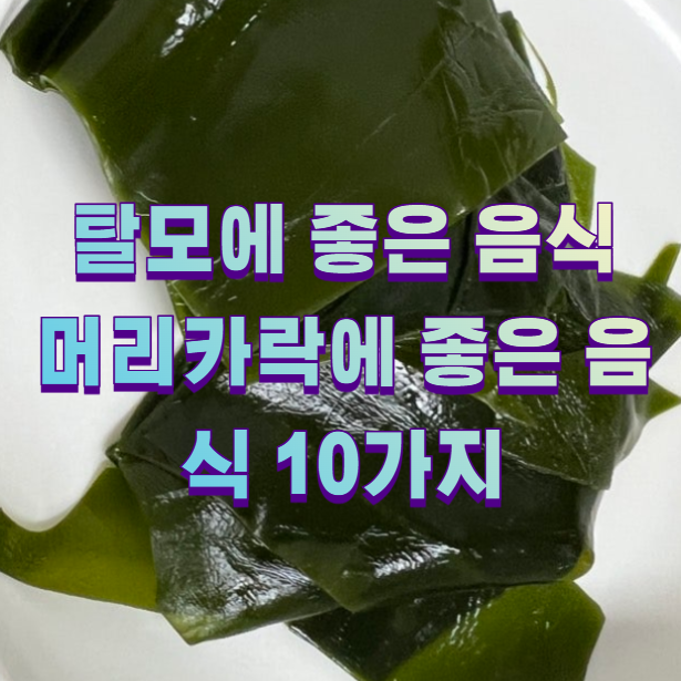 탈모에 좋은 음식 머리카락에 좋은 음식 10가지1