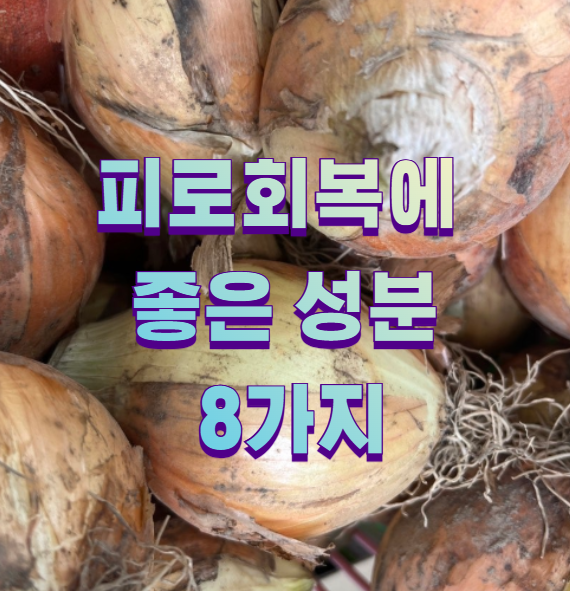피로회복에 좋은 성분 8가지