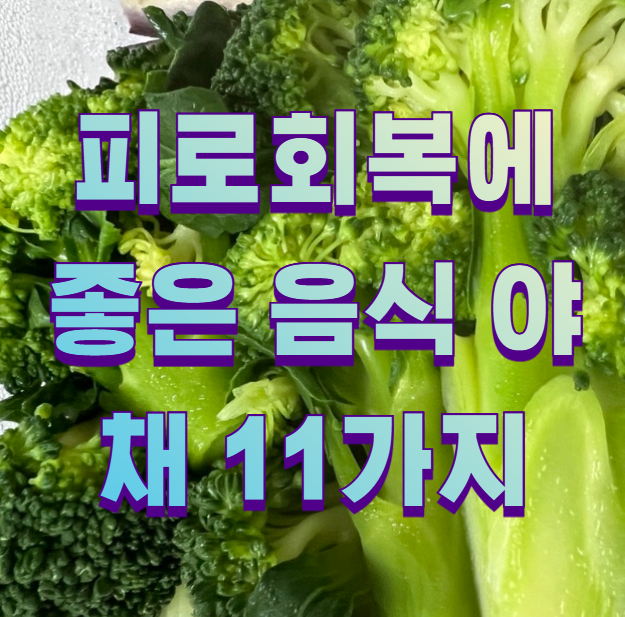 피로회복에 좋은 음식 야채 11가지