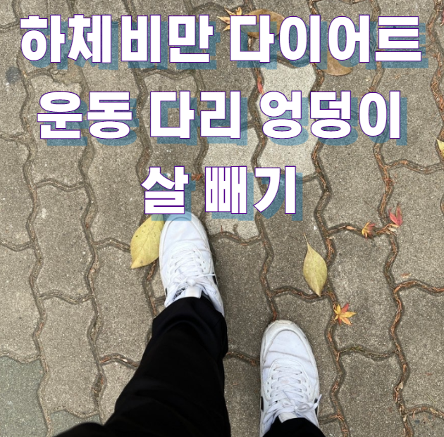 하체비만 다이어트 운동 다리 엉덩이 살 빼기1