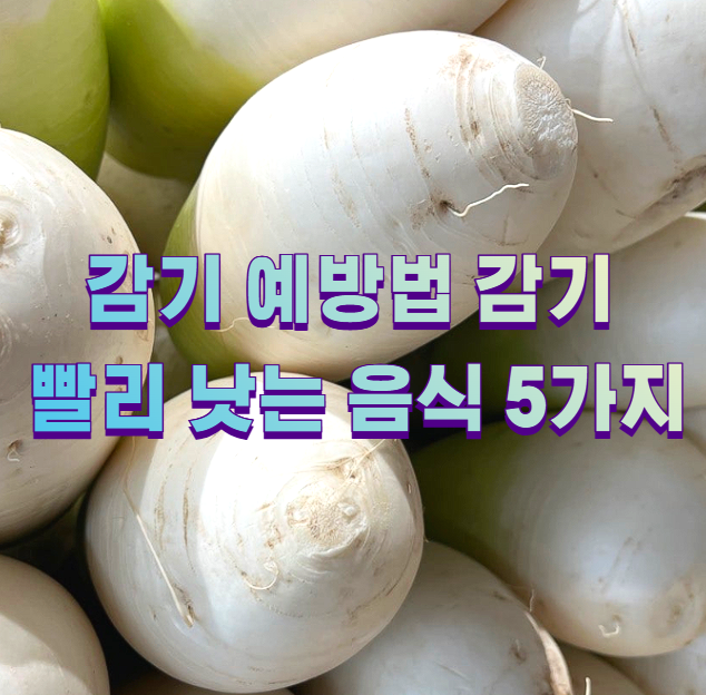 감기 예방법 감기 빨리 낫는 음식 5가지 - 패브릭 금융 경제