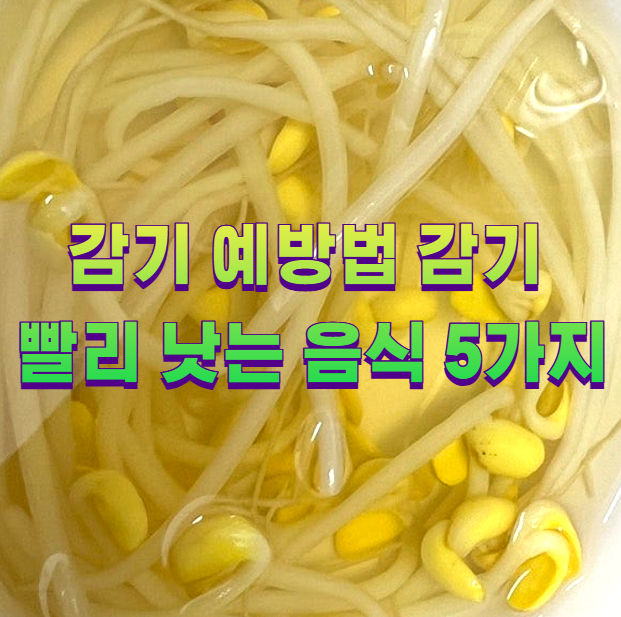 감기 예방법 감기 빨리 낫는 음식 5가지1