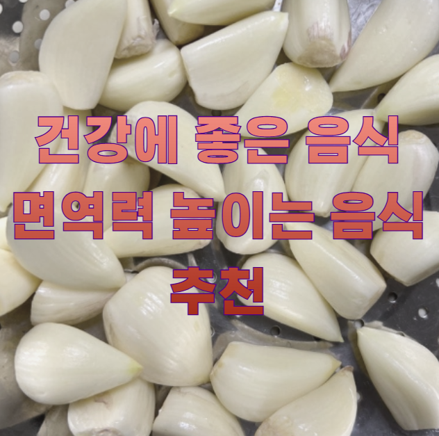 건강에 좋은 음식 면역력 높이는 음식 추천1