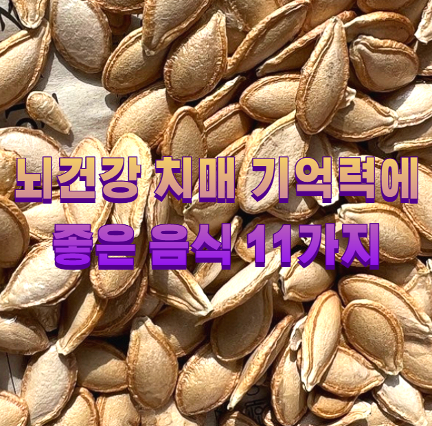 뇌건강 치매 기억력에 좋은 음식 11가지1