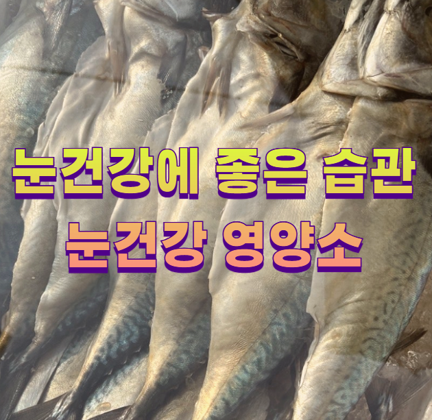 눈건강에 좋은 습관 눈건강 영양소1