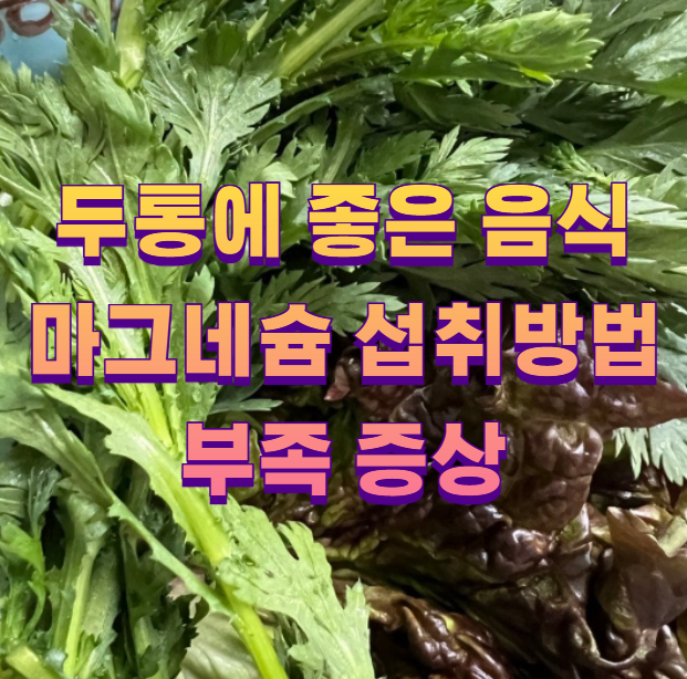 두통에 좋은 음식 마그네슘 섭취방법 부족 증상1